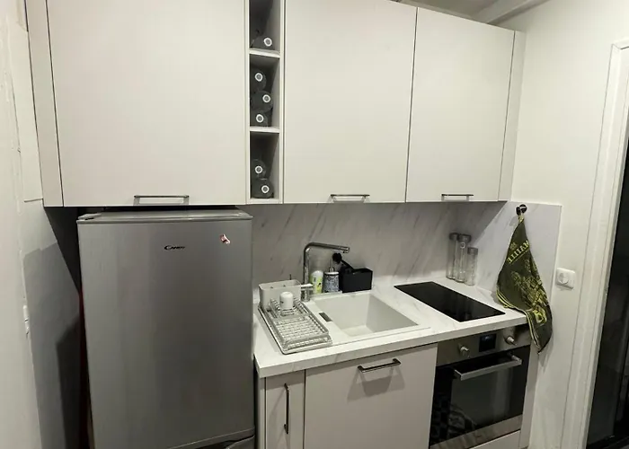 Lägenhet Cosy Et Calme Pasteur Montparnasse *